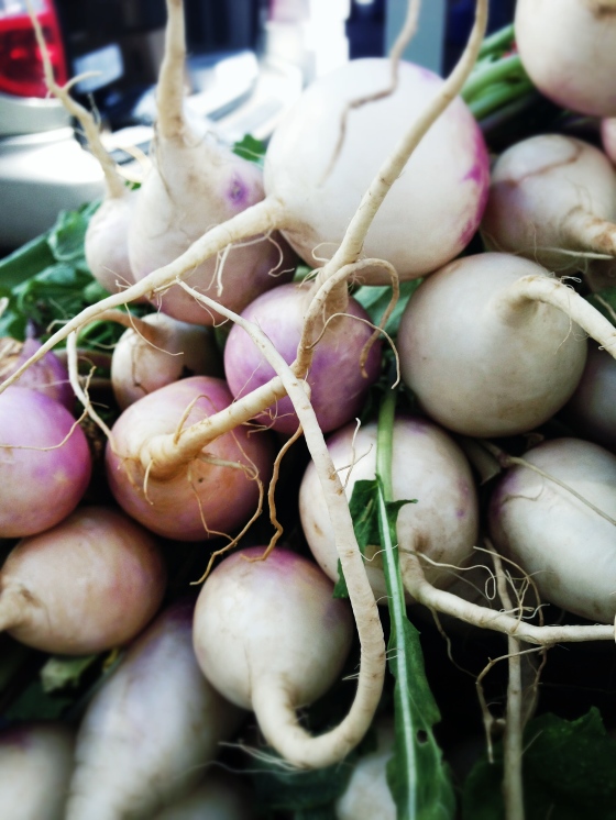 purple turnips